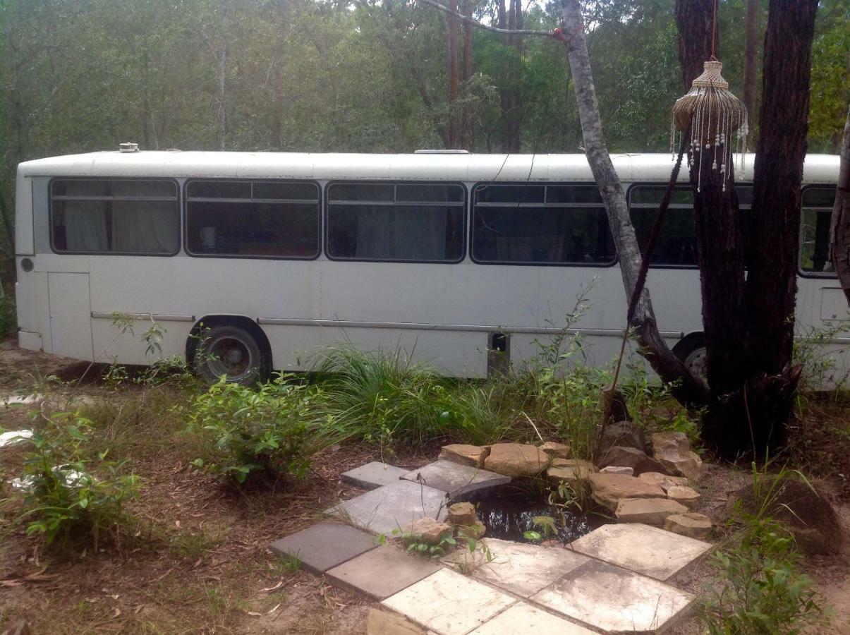 Yamba Hinterland Bush Retreat - Vintage Bus Stay Dilkoon Exterior photo